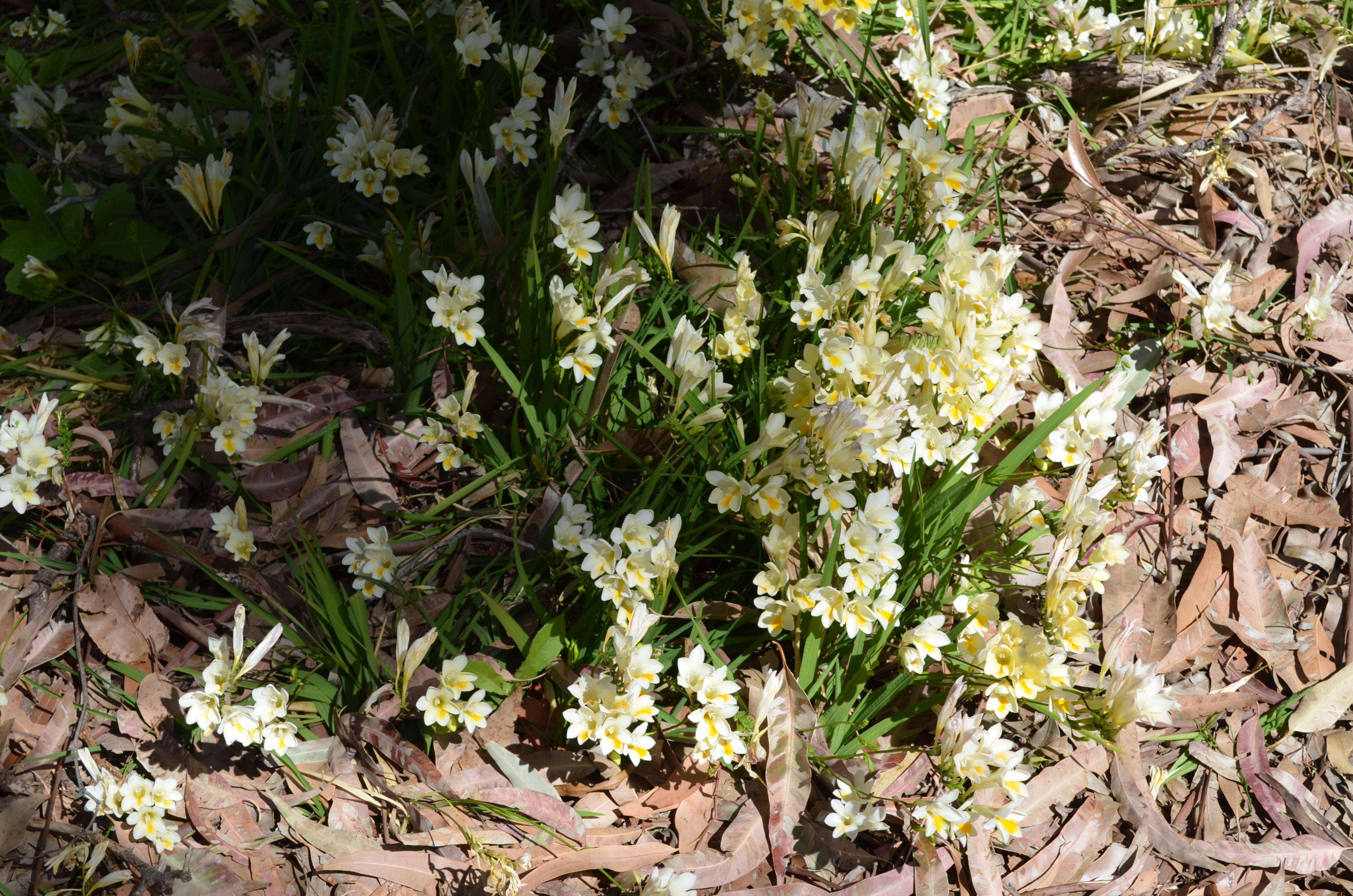 This image has an empty alt attribute; its file name is image-40.png