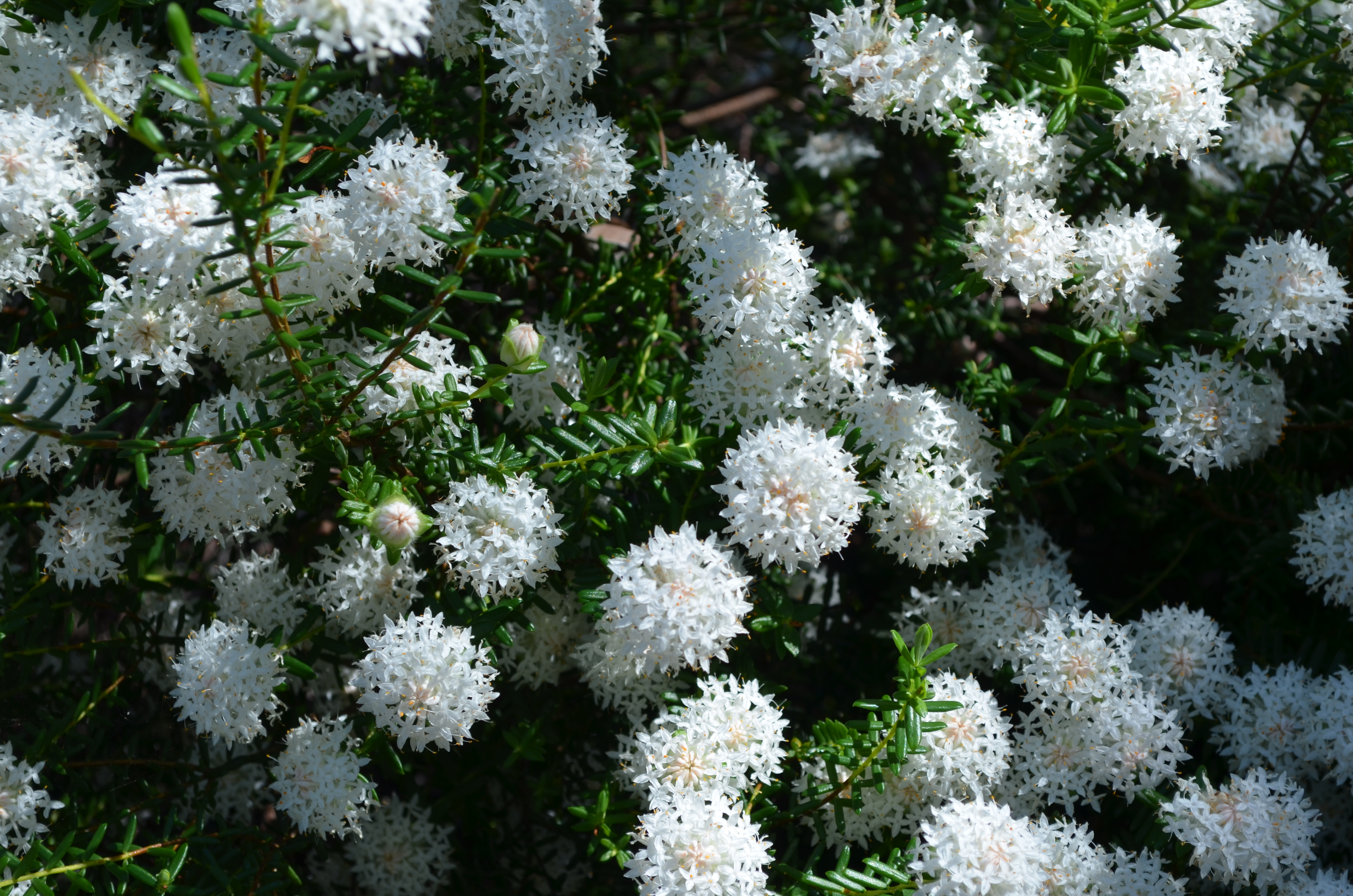 This image has an empty alt attribute; its file name is image-41.png