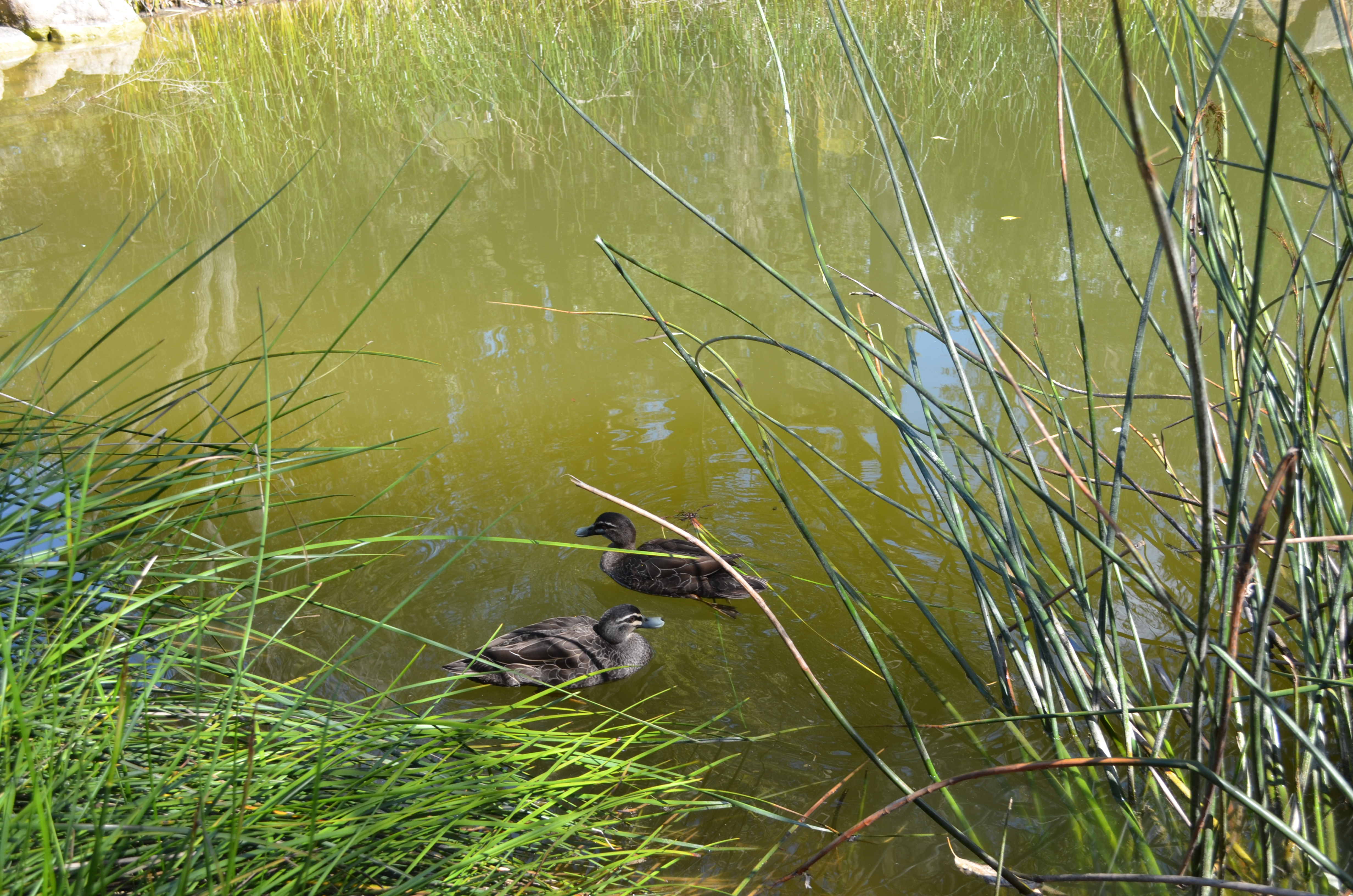 This image has an empty alt attribute; its file name is image-51.png